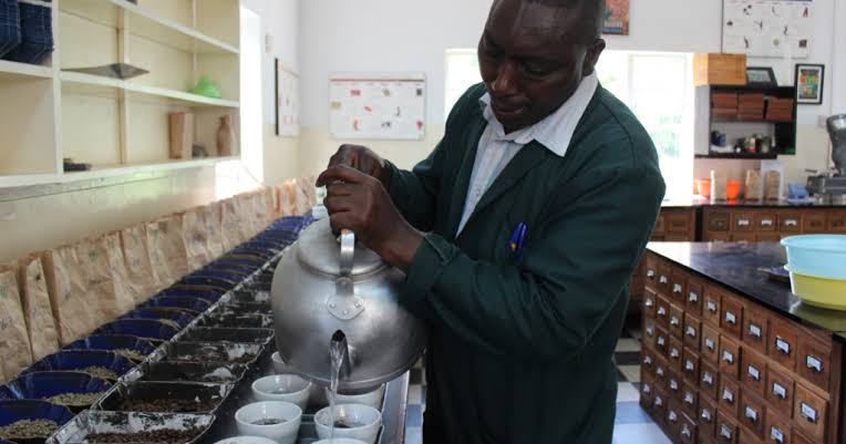 Dr. Emmanuel Kato, Q-Grader